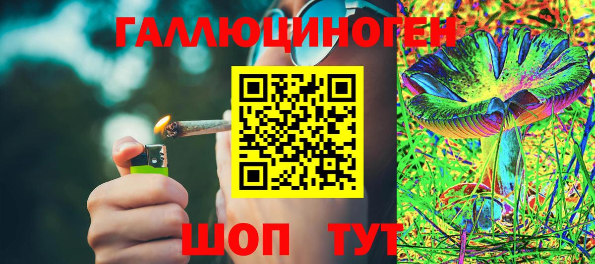 Галлюциногенные грибы MAGIC MUSHROOMS Благовещенск